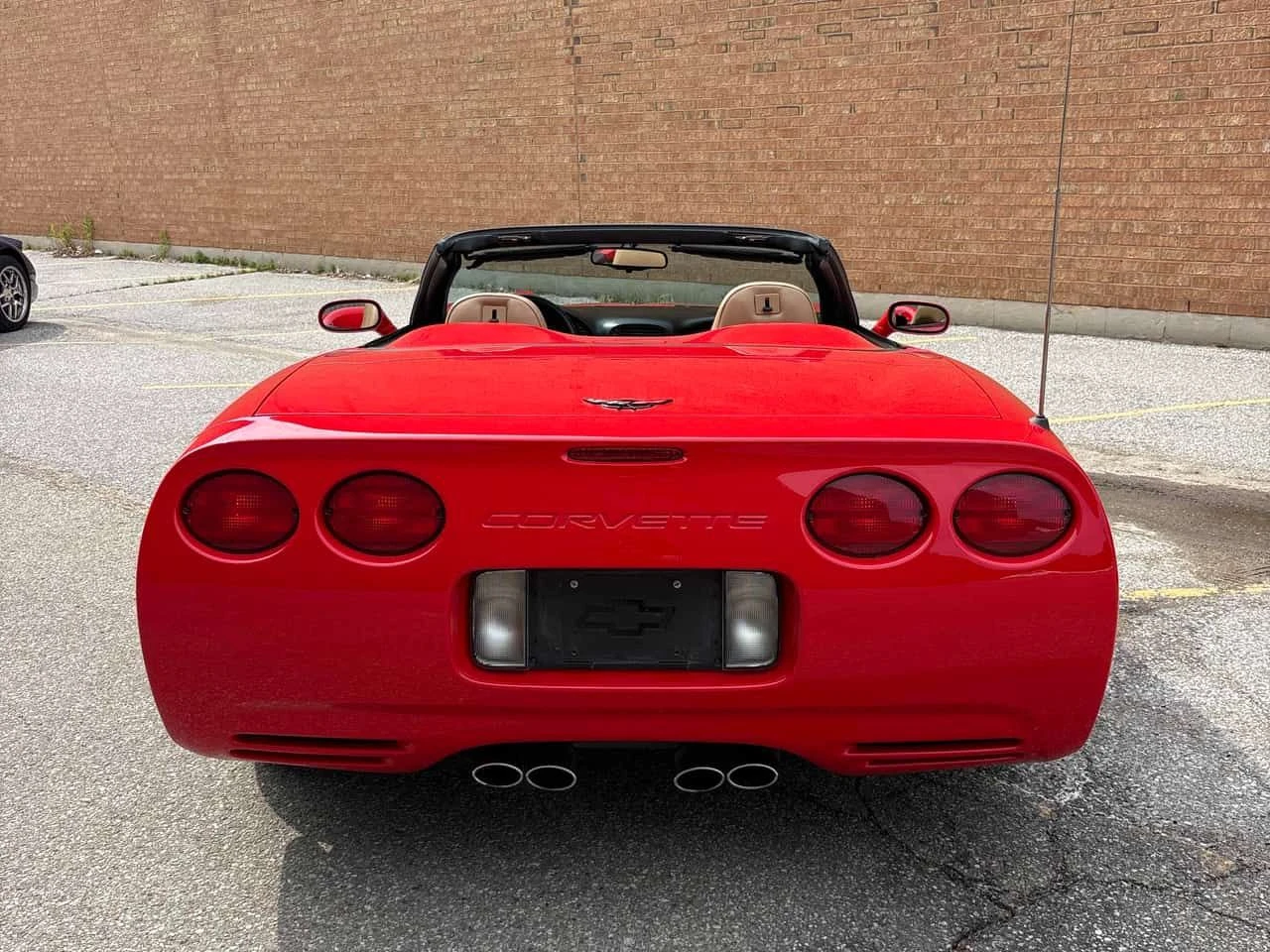 Chevrolet Corvette | BOSE | CARFAX | ПОДГРЕВ | ДВА КЛЮЧА | , снимка 4 - Автомобили и джипове - 54833456