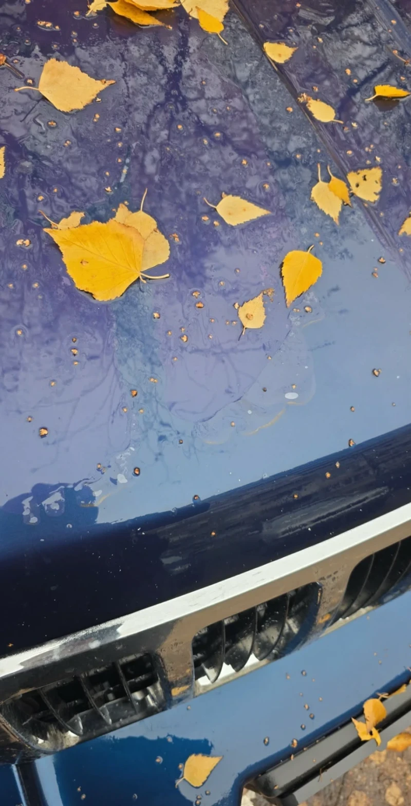 Jeep Grand cherokee, снимка 11 - Автомобили и джипове - 52696867