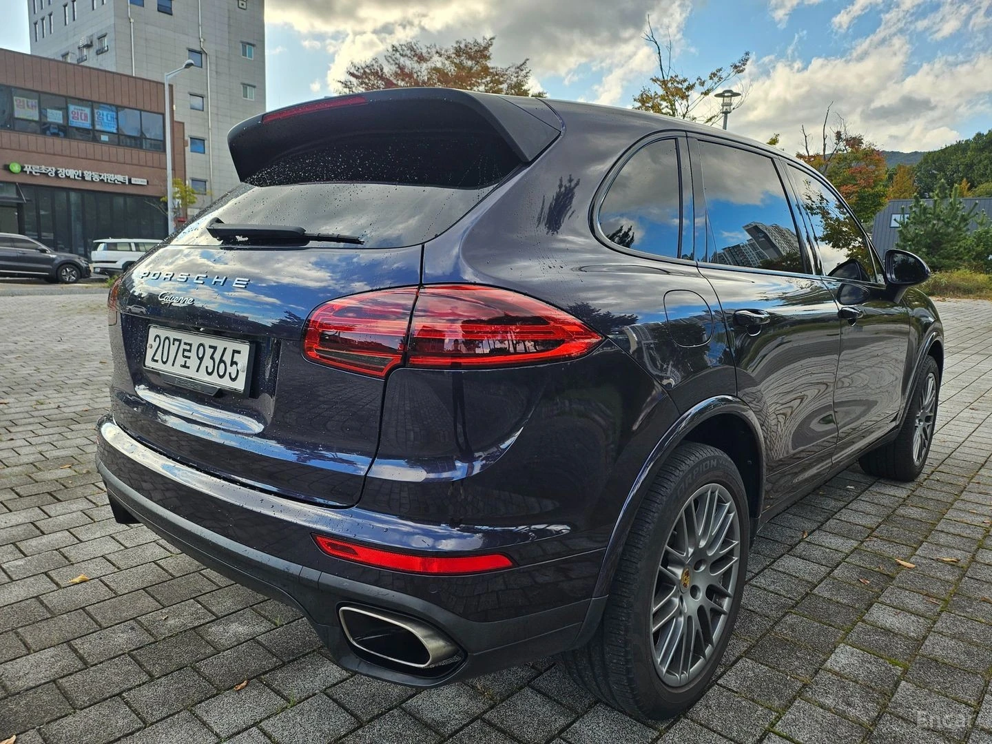 Porsche Cayenne 3.6 - PLATINUM - ОБДУХ - ПОДГРЕВИ - ПАНОРАМА, снимка 6 - Автомобили и джипове - 56102819
