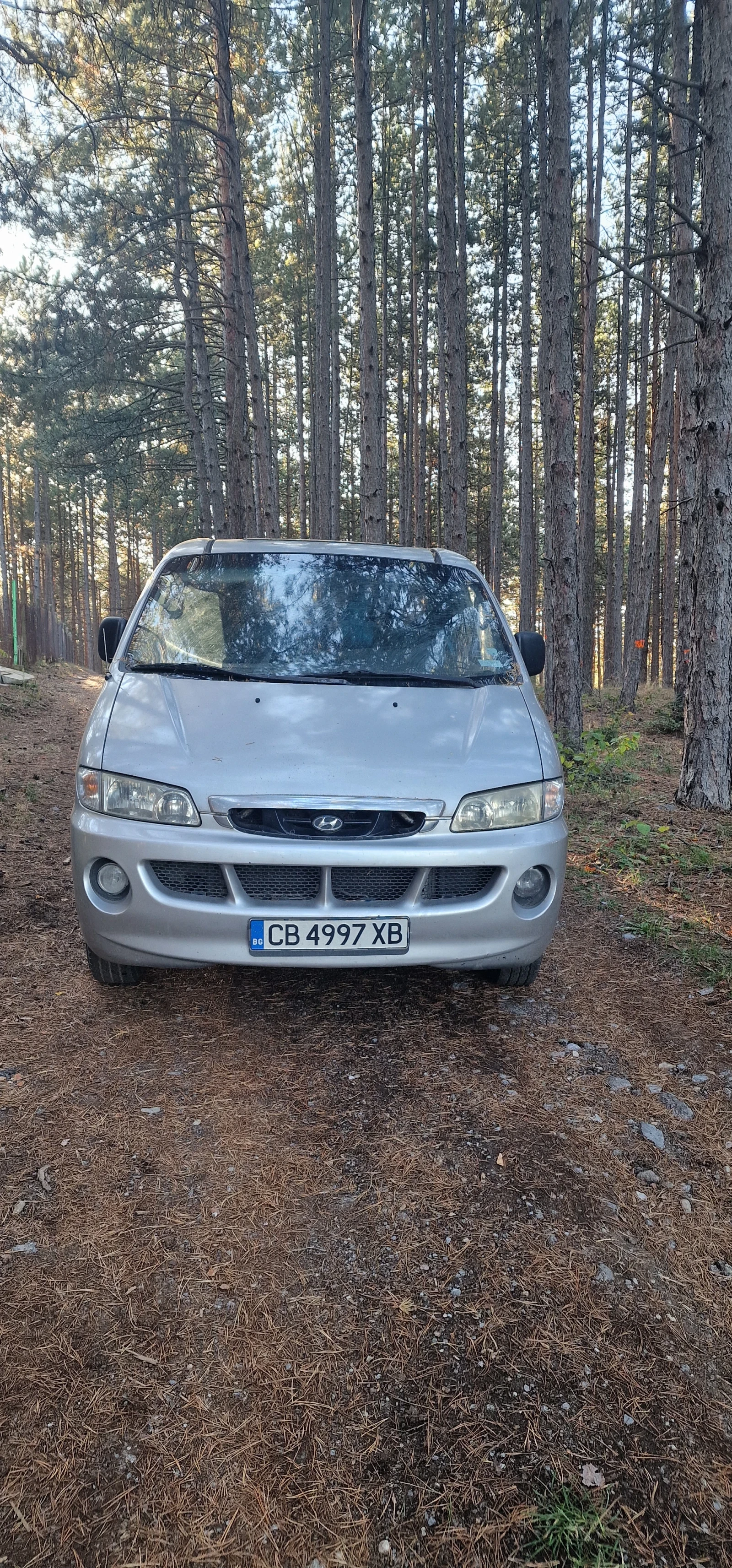 Hyundai H1  - изображение 2