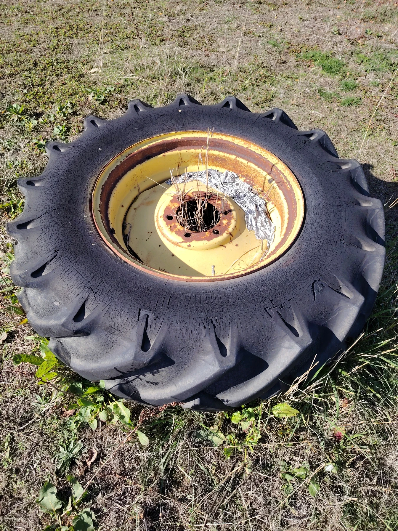 Друг вид Внос Вериги за claas - изображение 7