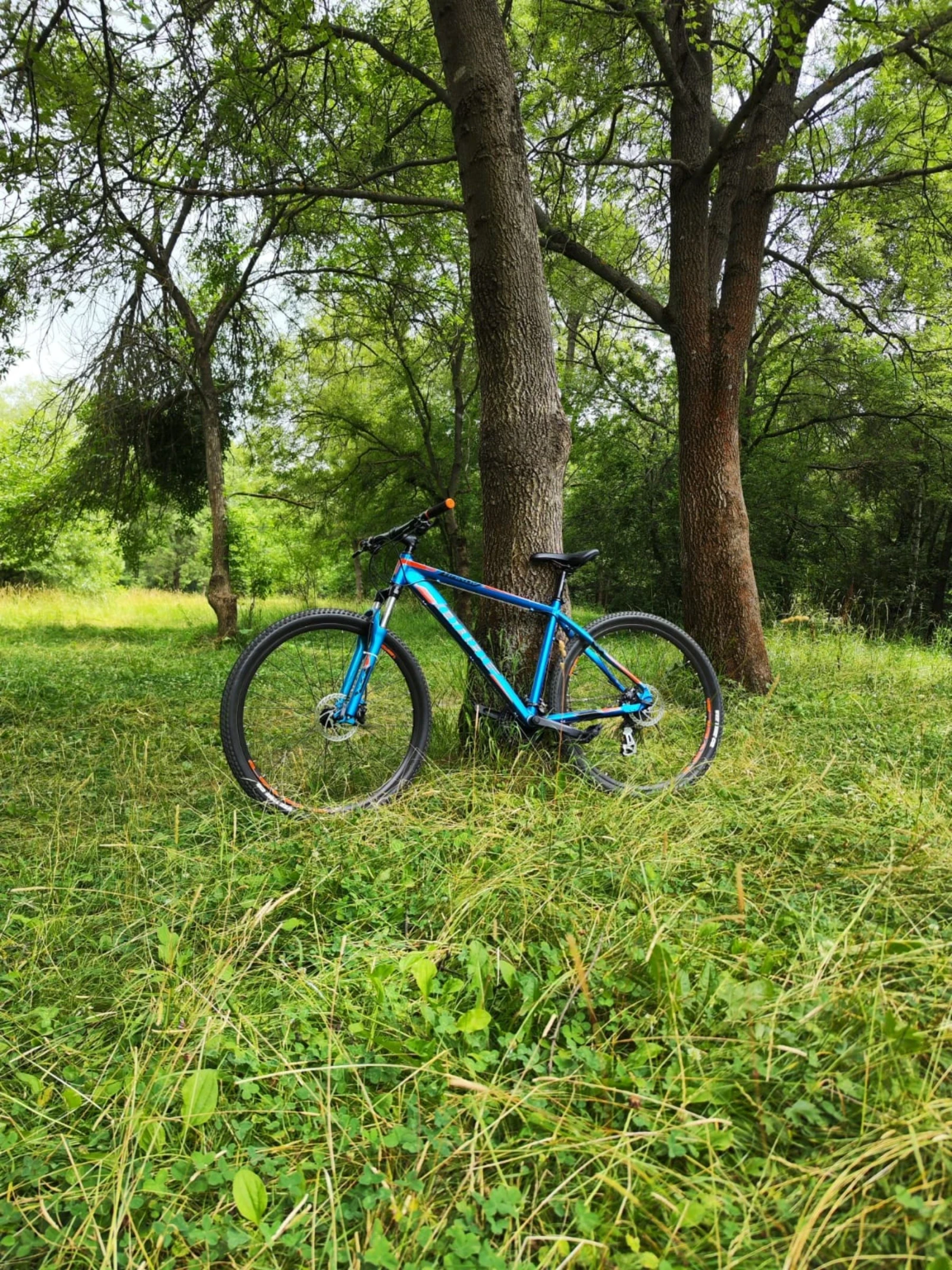  Hardy 5.0 | Mobile.bg   2