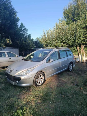  Peugeot 307