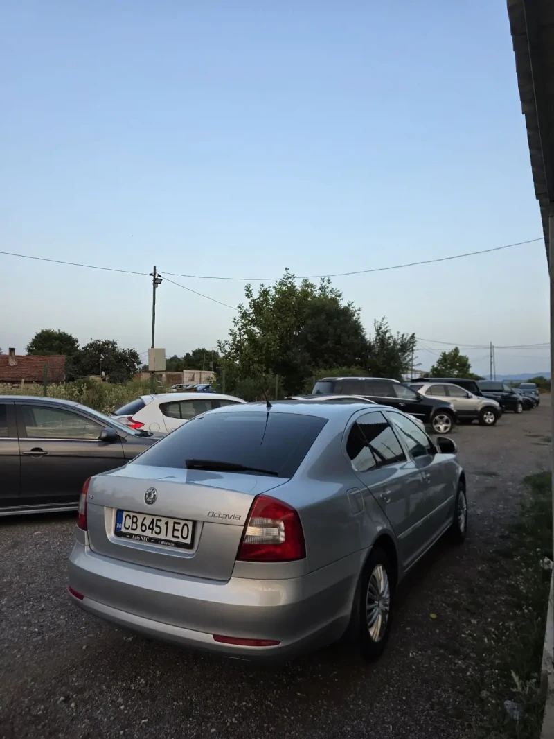 Skoda Octavia, снимка 5 - Автомобили и джипове - 51216784