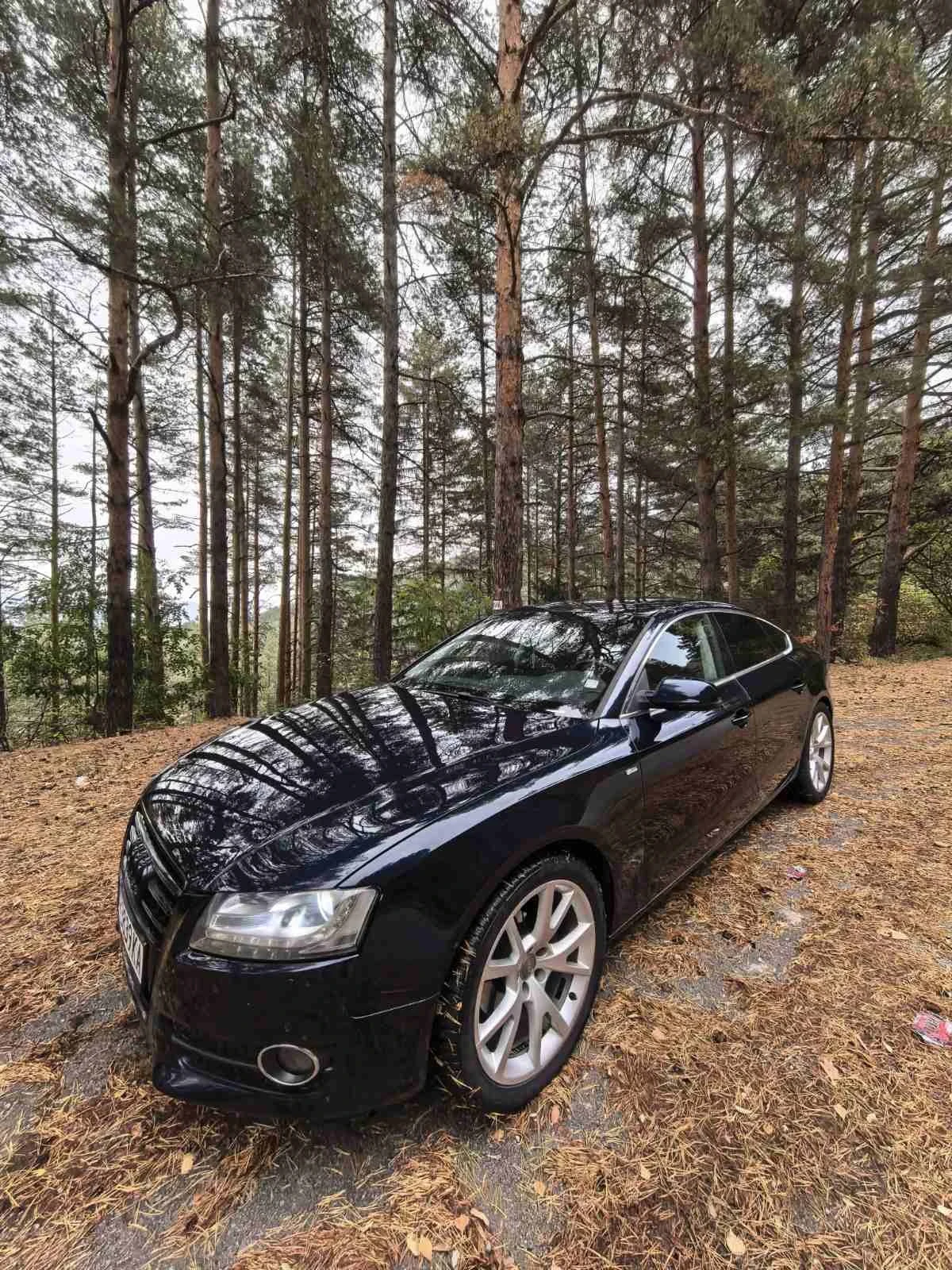 Audi A5 Sportback 3.0TDI QUATTRO 5 ����� | Mobile.bg � ����������� 2