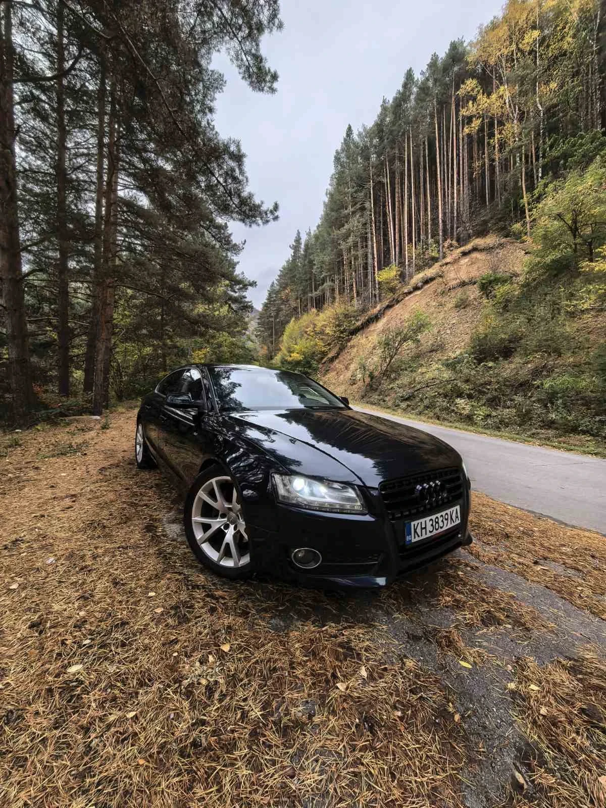 Audi A5 Sportback 3.0TDI QUATTRO 5 Врати