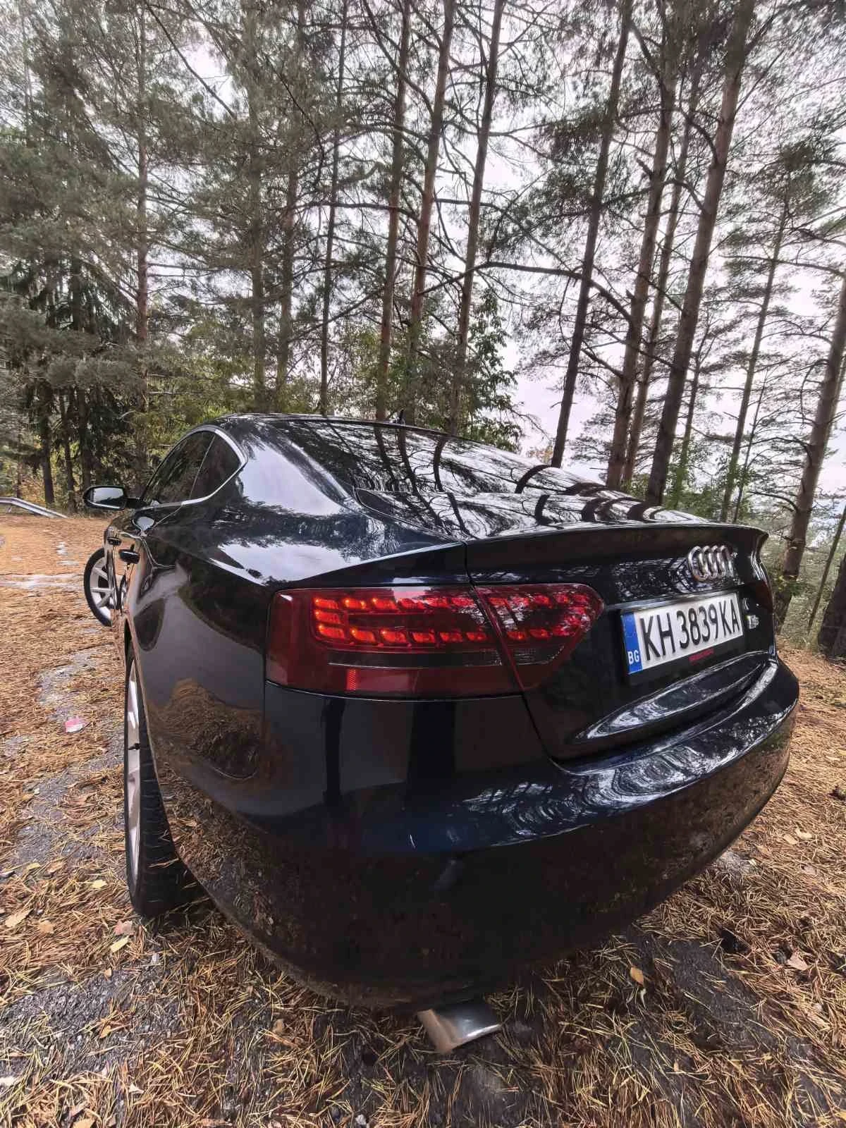 Audi A5 Sportback 3.0TDI QUATTRO 5 ����� | Mobile.bg � ����������� 4