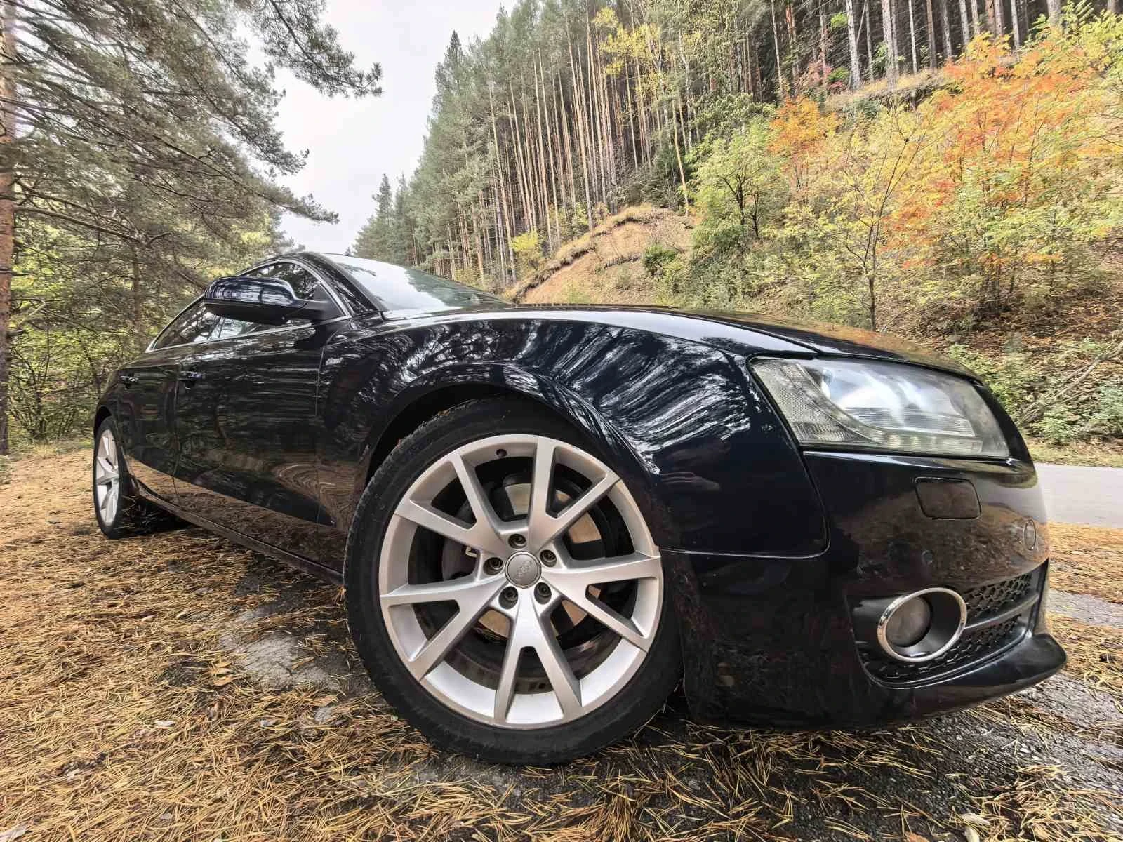 Audi A5 Sportback 3.0TDI QUATTRO 5 ����� | Mobile.bg � ����������� 9