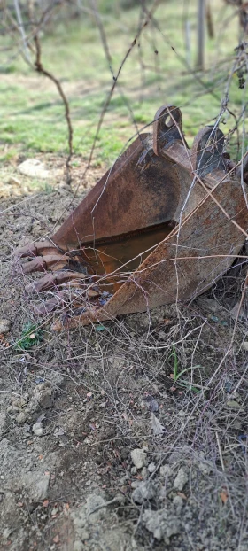 ����� �� �������� �� ����� ����