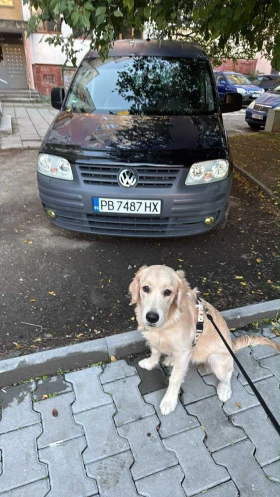 Обява за продажба на VW Caddy LIFE ~11 500 лв. - изображение 10 | Auto.bg Обява за продажба на VW Caddy LIFE ~11 500 лв. - изображение 10