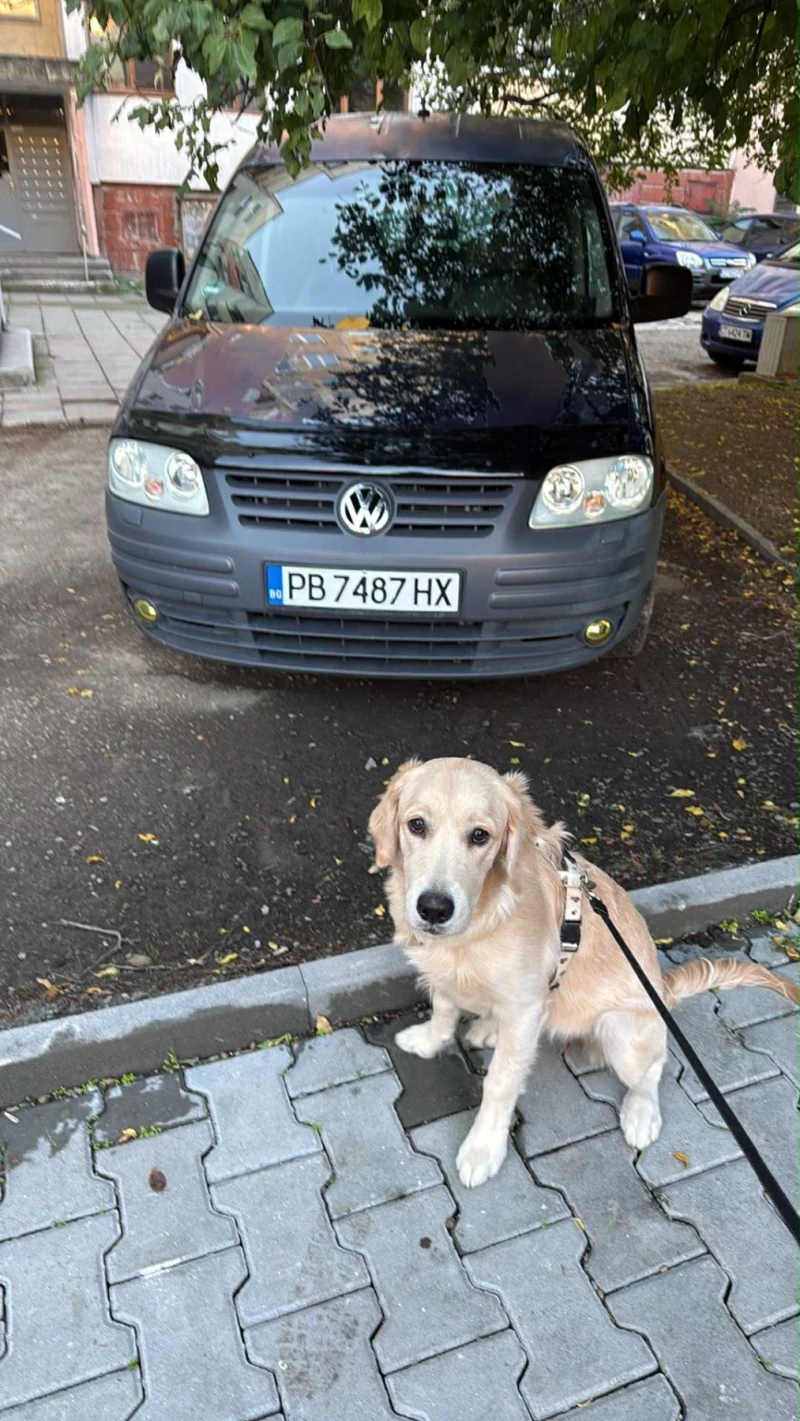 VW Caddy LIFE, снимка 11 - Автомобили и джипове - 53214029