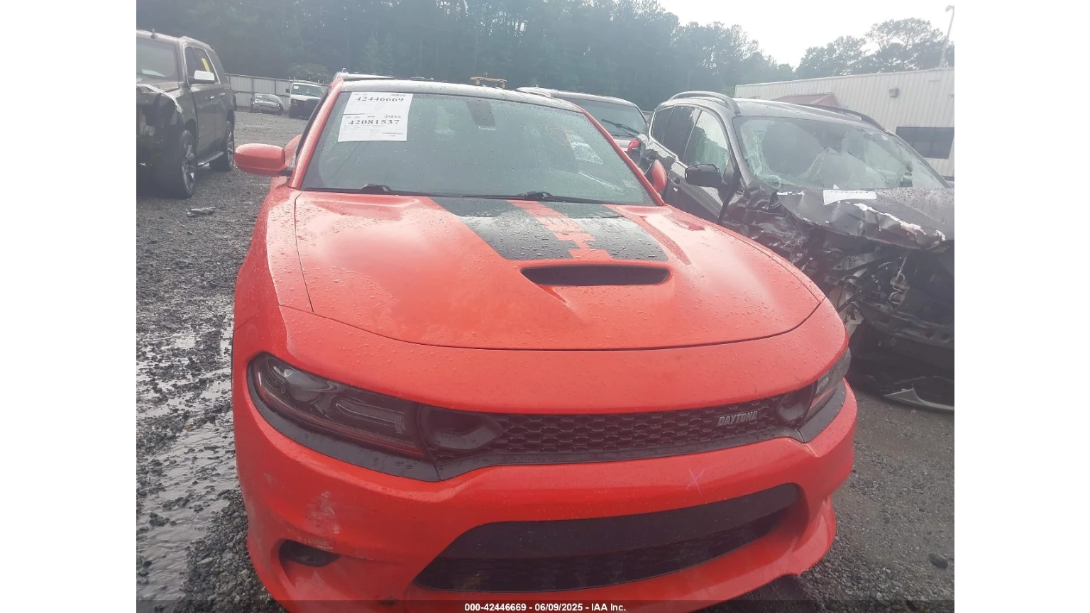 Dodge Charger Scat Pack* 6.4 HEMI* Запалване от ключа - изображение 8