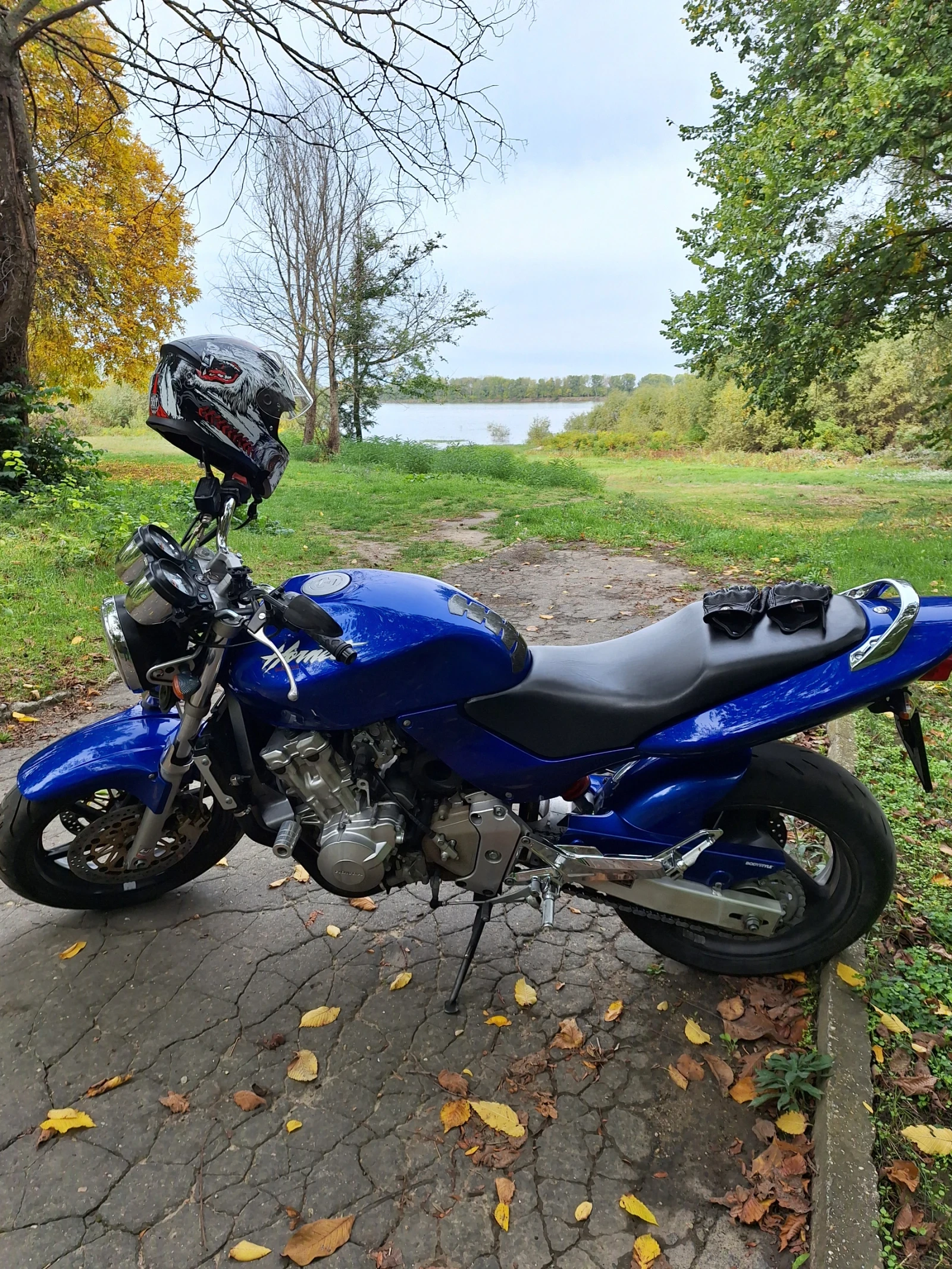Honda Hornet 600 СВ - изображение 9