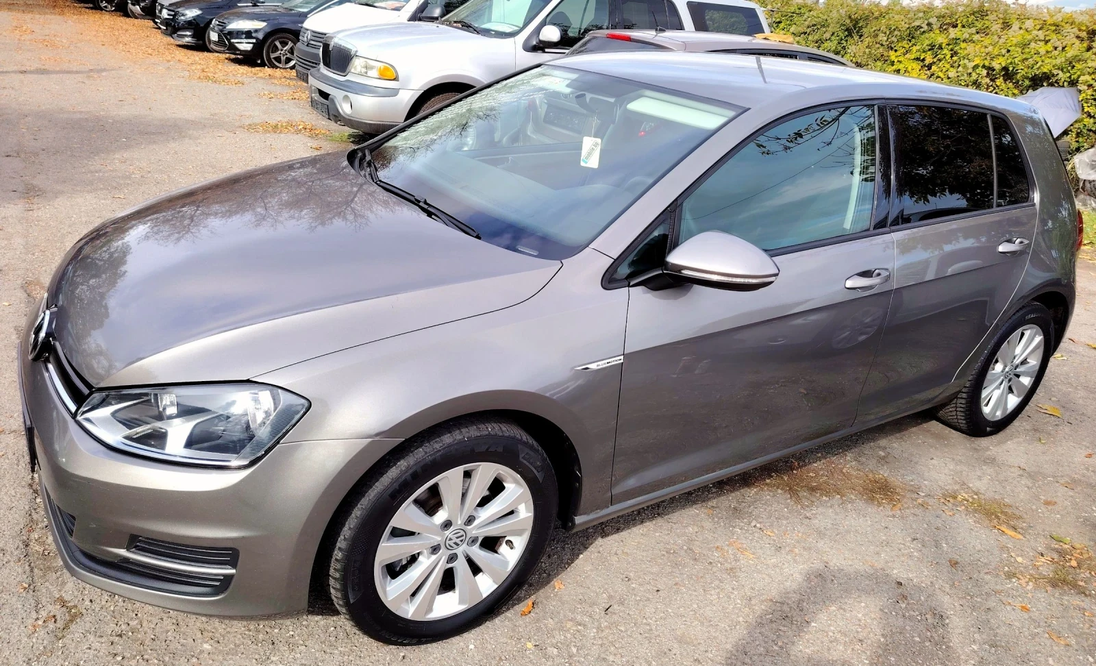 VW Golf 1.4Ti/Blue Motion, снимка 1