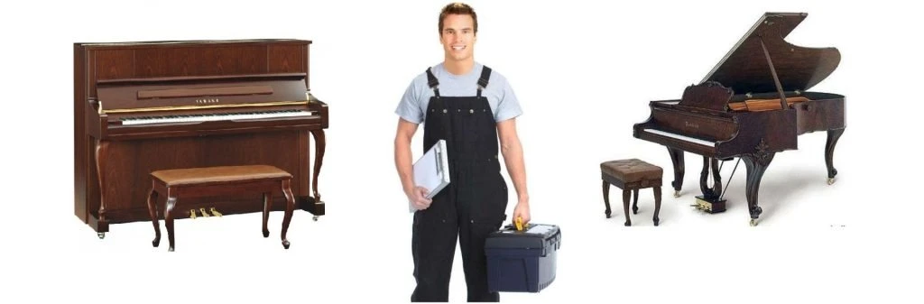     ,    | Mobile.bg   1