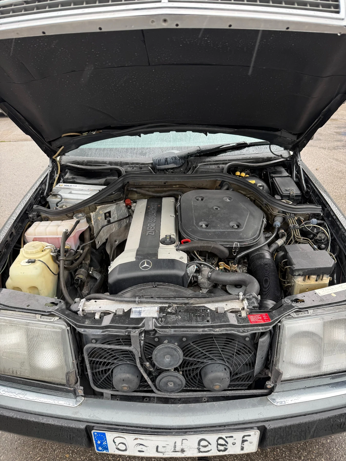 Mercedes-Benz 124 124CE Sport Line | Mobile.bg — изображение 12