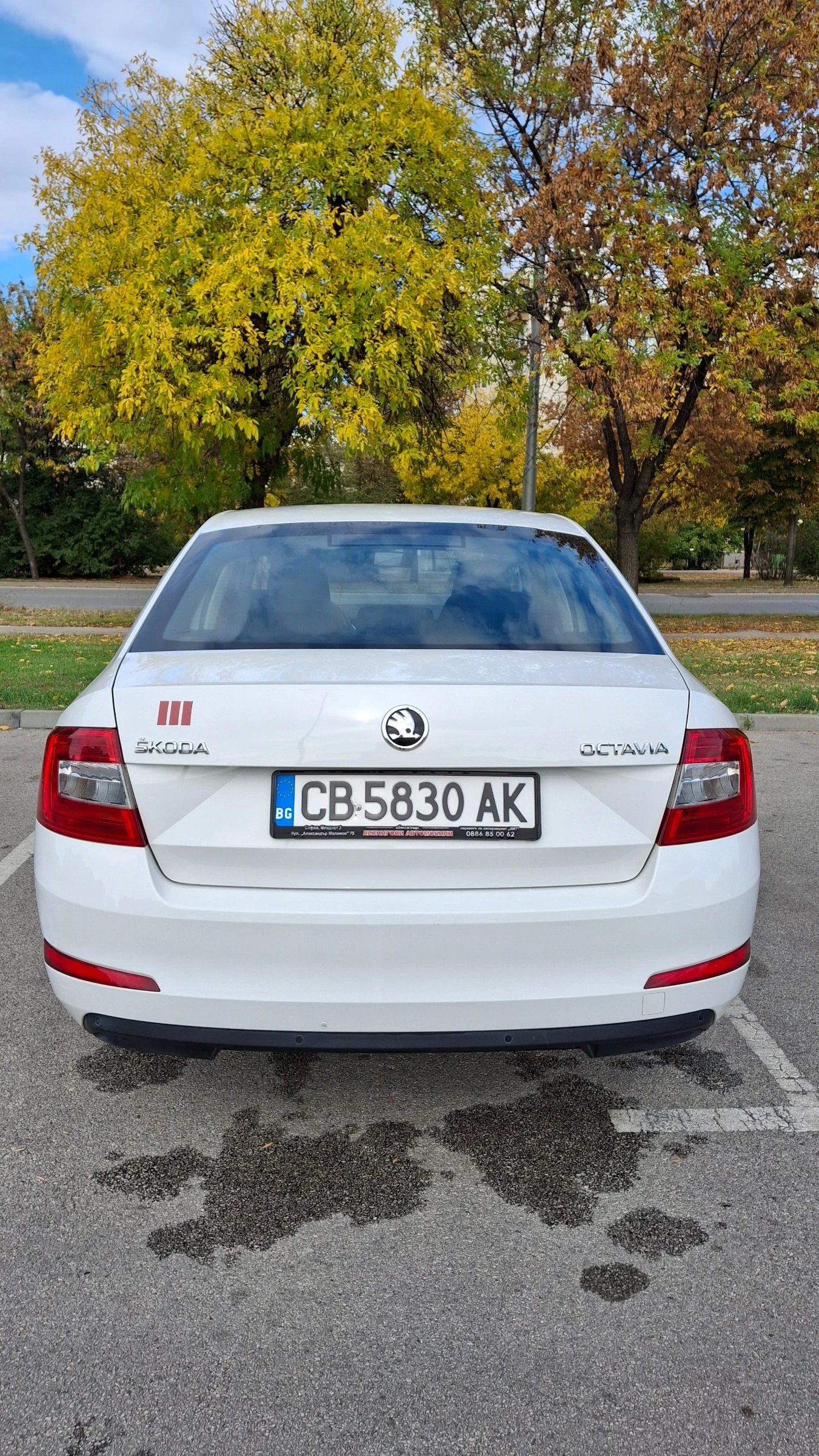Skoda Octavia | Mobile.bg � ����������� 4
