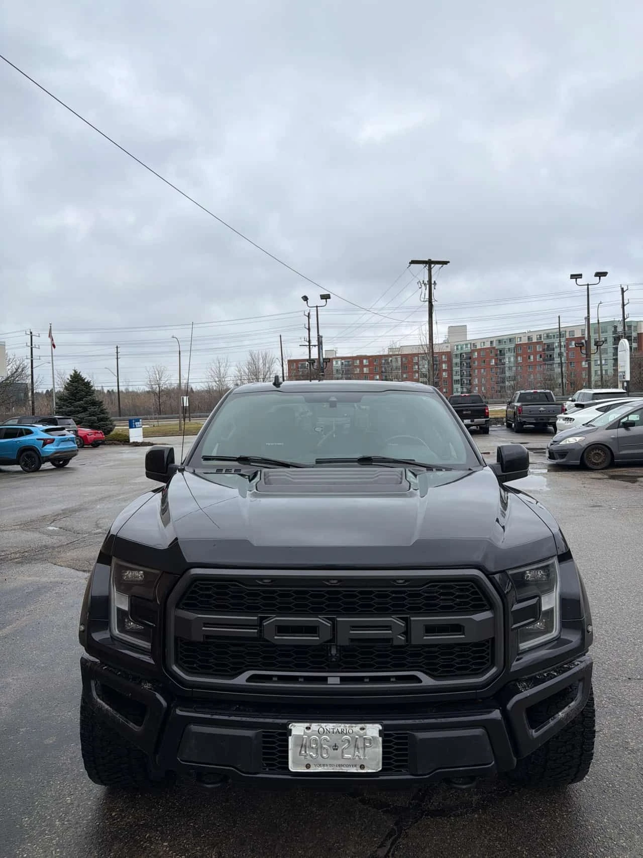 Ford F150 * Raptor * CARFAX * ���� �� �� | Mobile.bg � ����������� 4