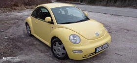  VW Beetle