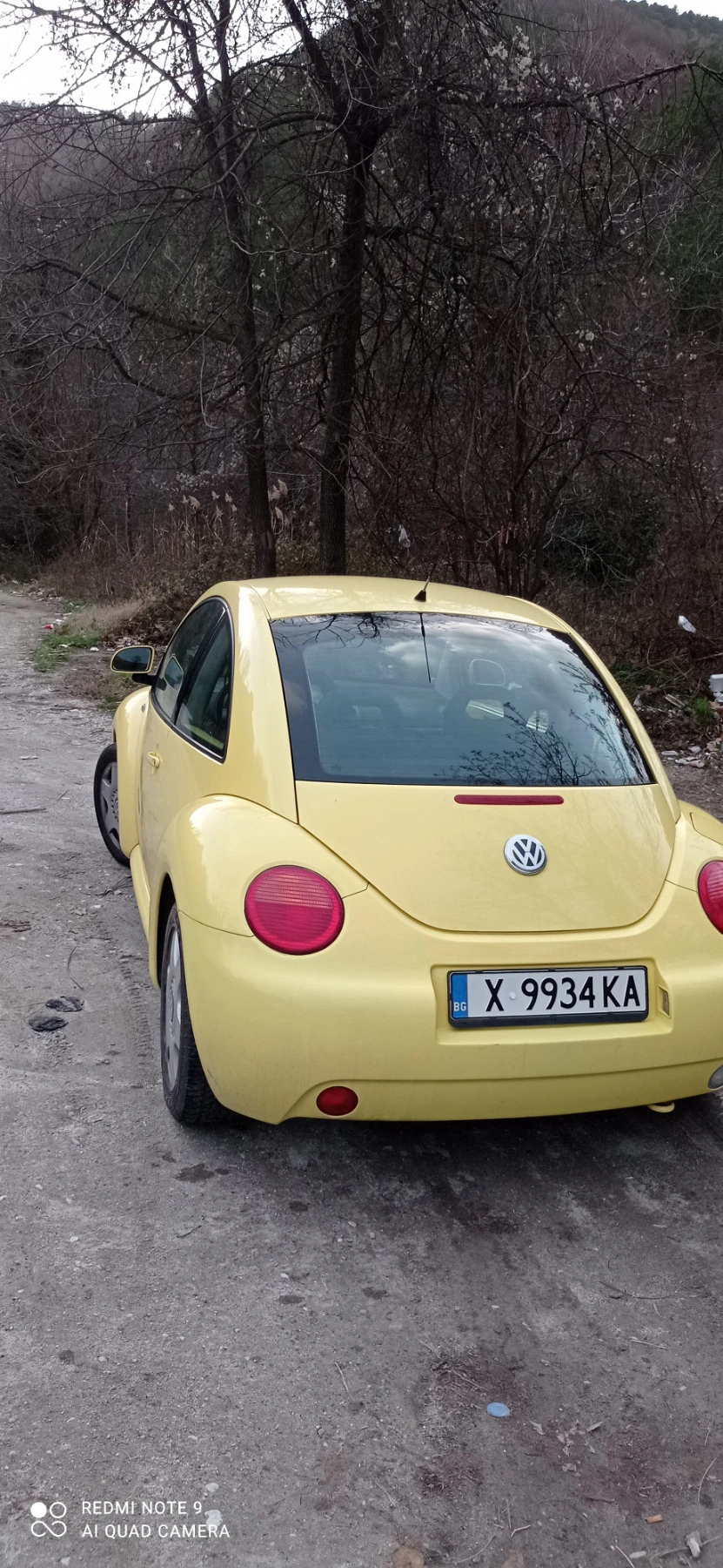 VW Beetle 2.0i - изображение 4