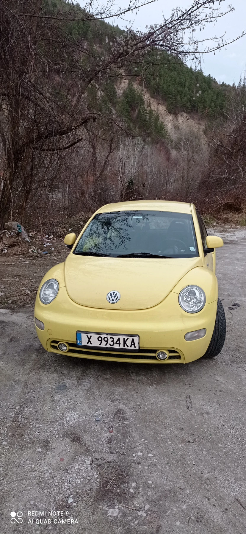 VW Beetle 2.0i - изображение 5