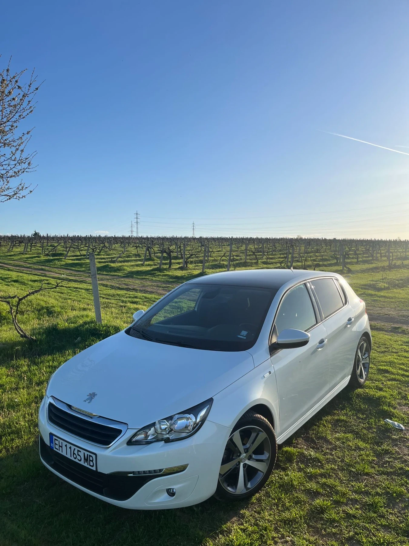 Peugeot 308, снимка 2 - Автомобили и джипове - 56408183