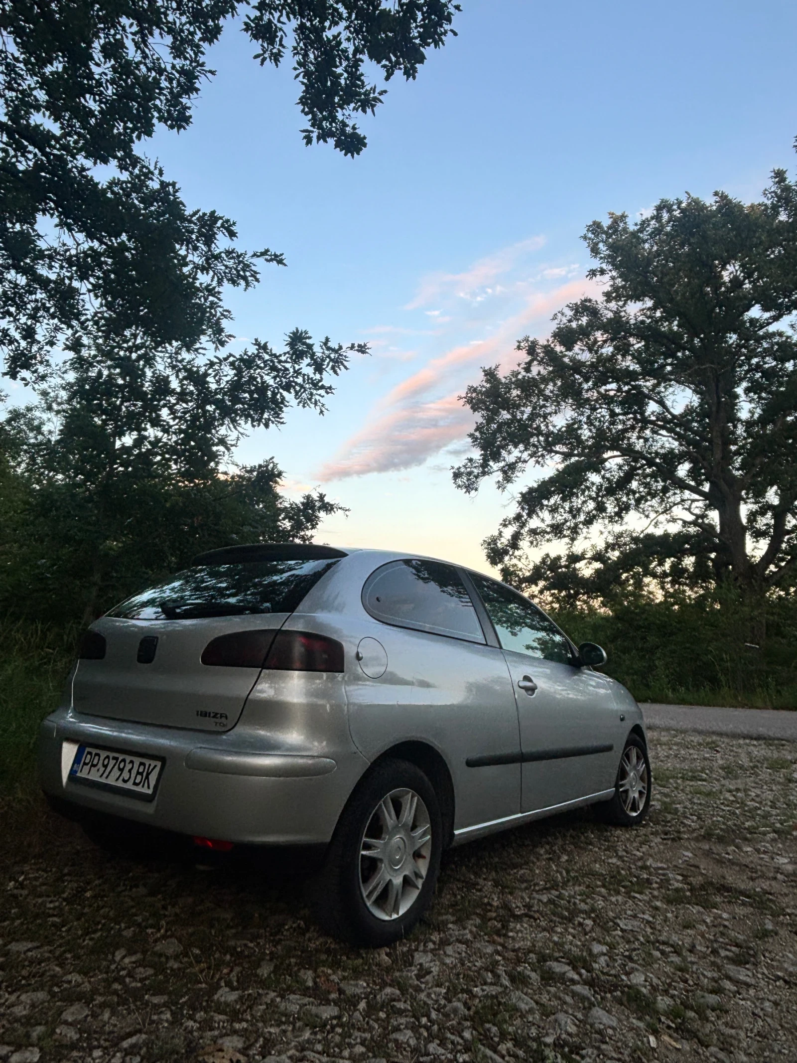 Seat Ibiza, снимка 7 - Автомобили и джипове - 55619402