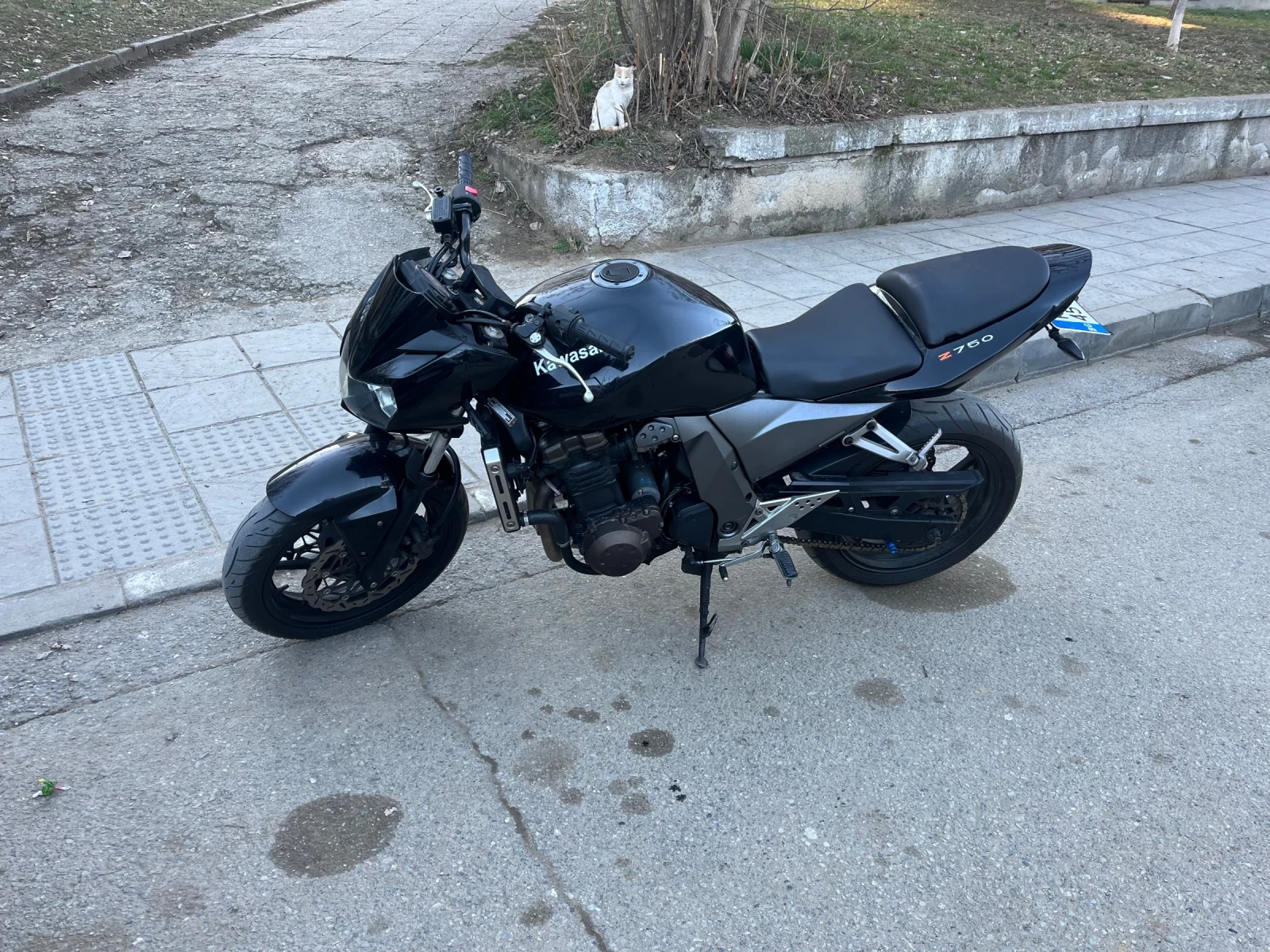 Kawasaki Z  - изображение 2