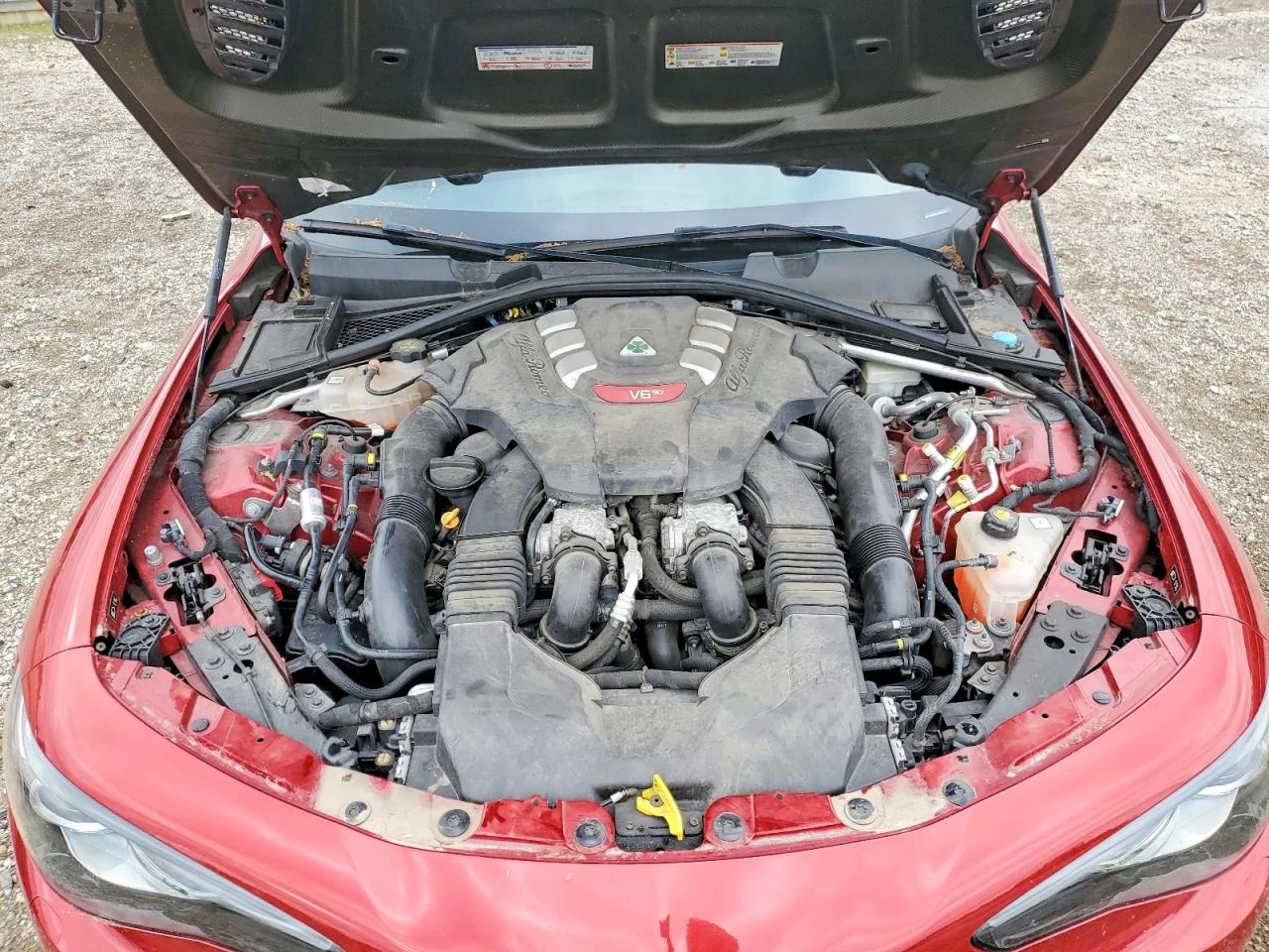 Alfa Romeo Giulia 2.9l Quadrifoglio, снимка 11 - Автомобили и джипове - 56151575
