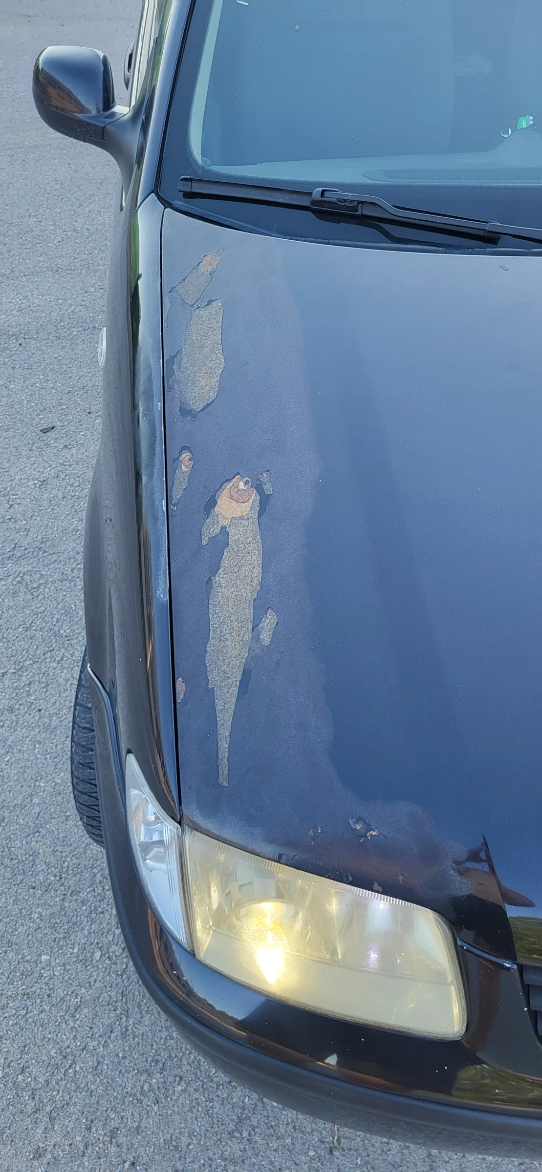 VW Polo | Mobile.bg   12