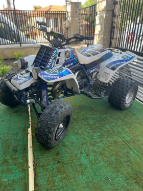     Yamaha Banshee 350 twin