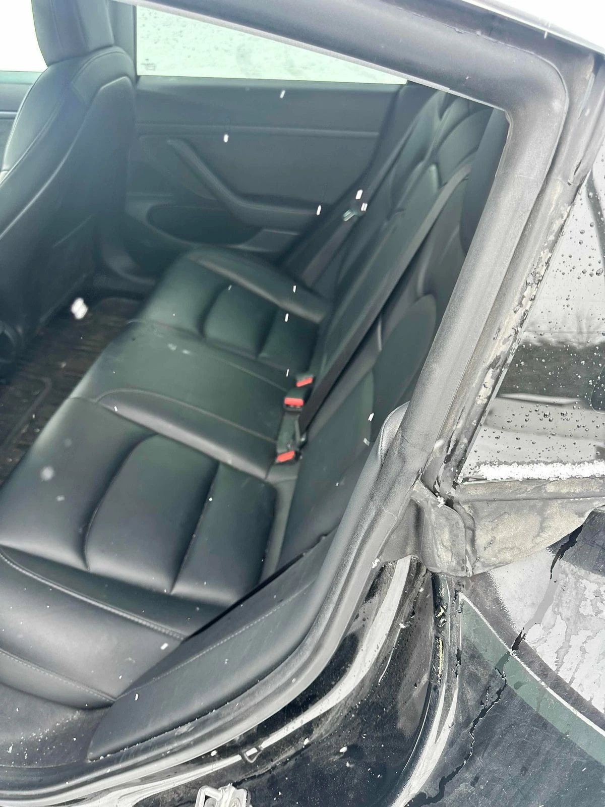 Tesla Model 3 Standard Range Plus  � ����������� & ���� ������  | Mobile.bg � ����������� 13