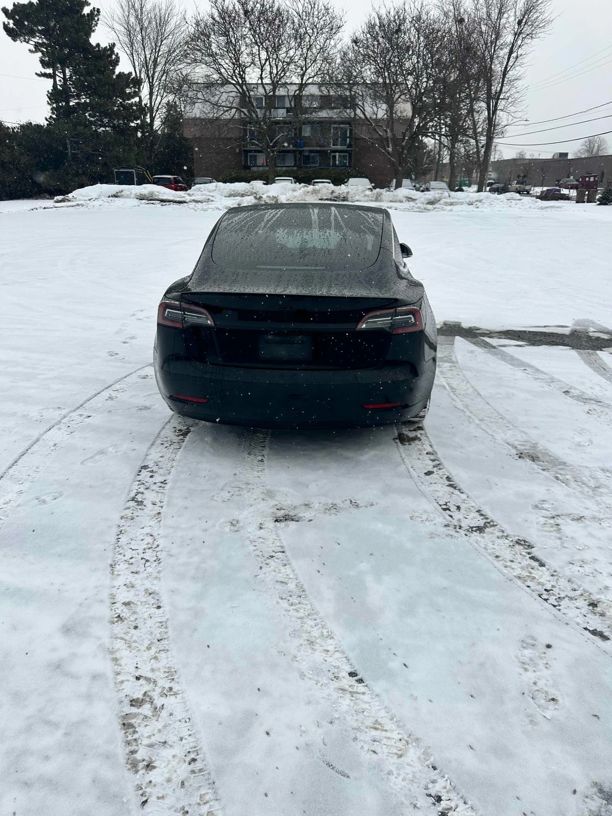 Tesla Model 3 Standard Range Plus  С РЕГИСТРАЦИЯ & АВТО КРЕДИТ  - изображение 5