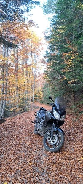 Suzuki V-strom, снимка 2