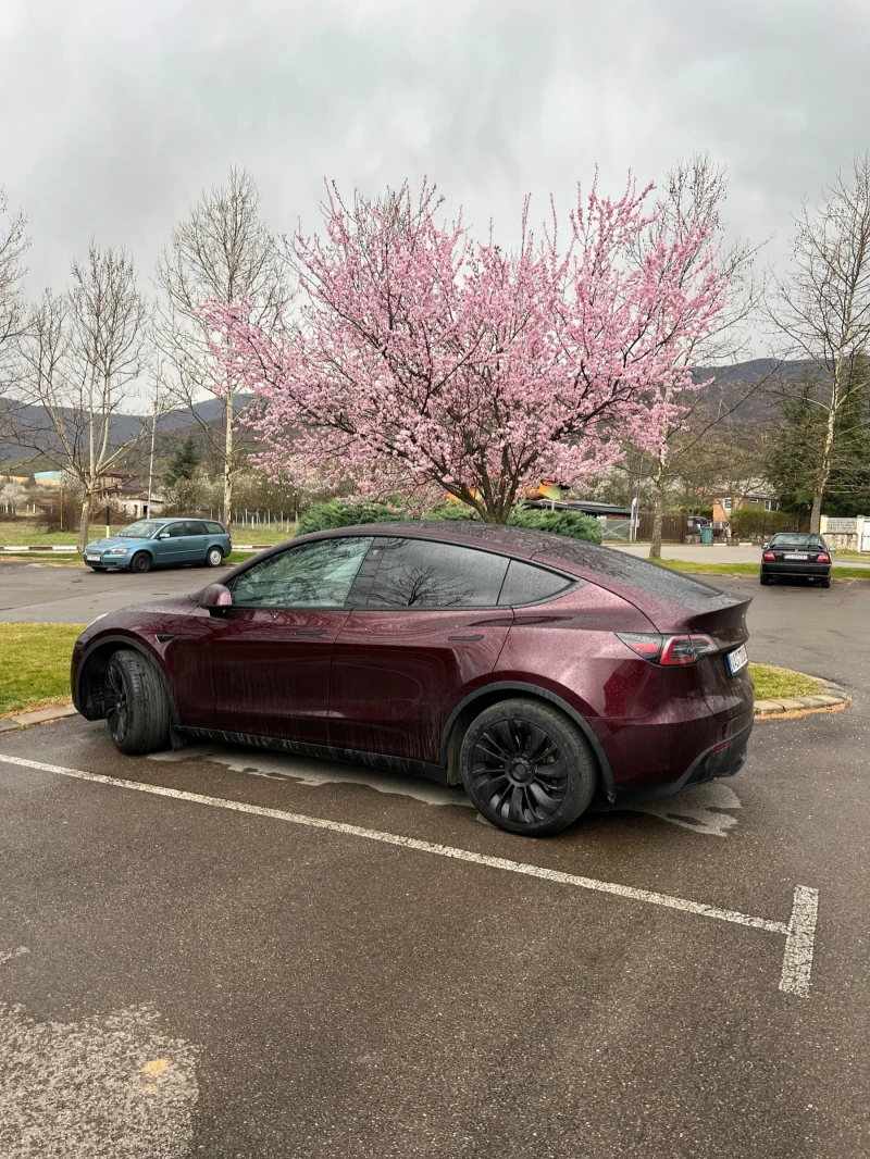 Tesla Model Y LR, AWD + free Scharger в Европа ; А/С Tesla 22kw , снимка 1 - Автомобили и джипове - 49274572