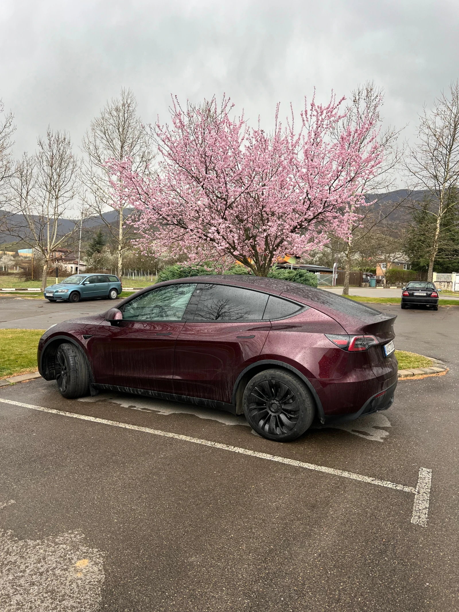 Tesla Model Y LR, AWD  - изображение 6