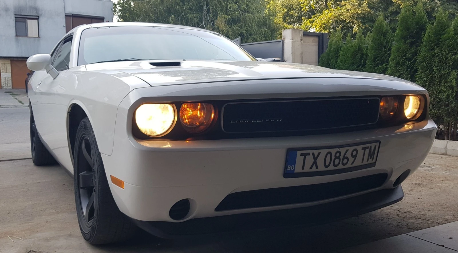 Dodge Challenger  - изображение 6