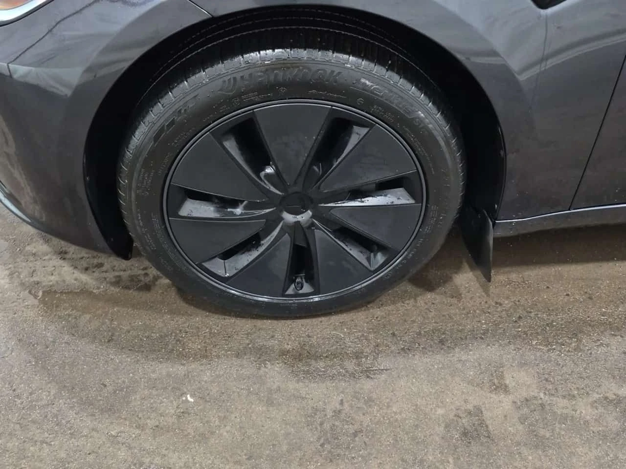 Tesla Model 3 AMBIENT* PANORAMA* * CARFAX *  - изображение 7