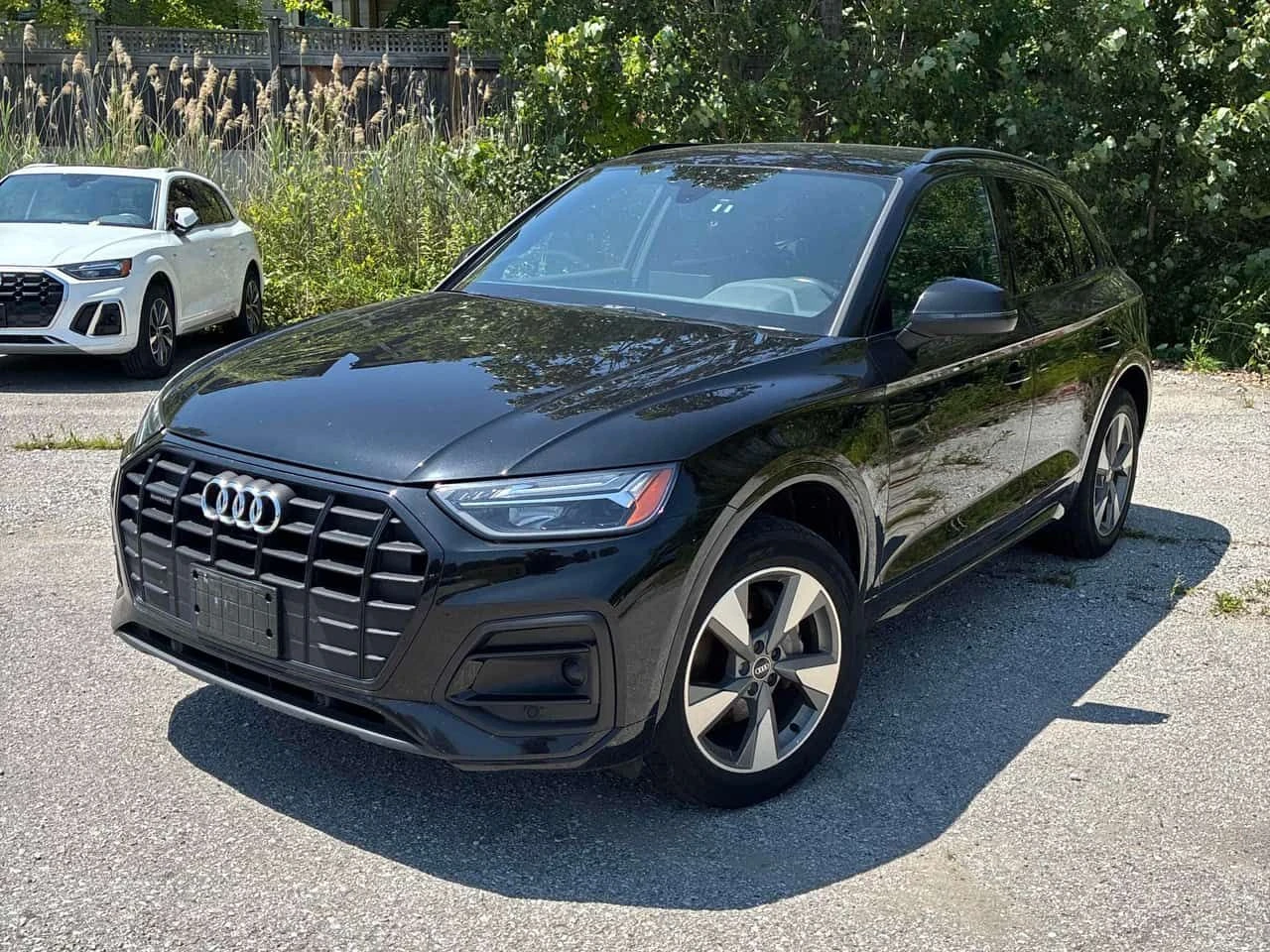 Audi Q5 Komfort / DISTRONIC / CARFAX / АВТОКРЕДИТ