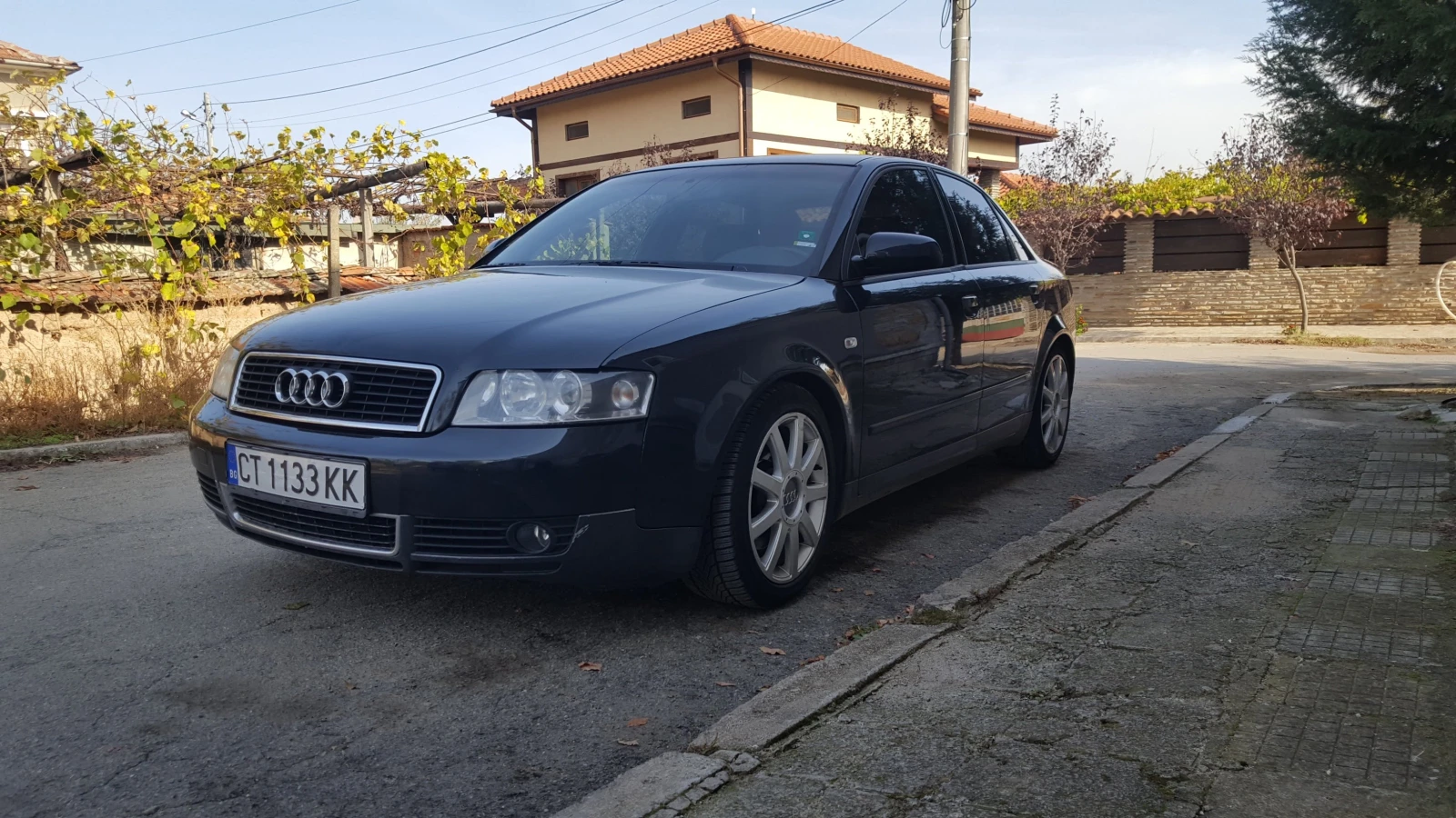 Audi A4 B6 2.5TDI - изображение 8