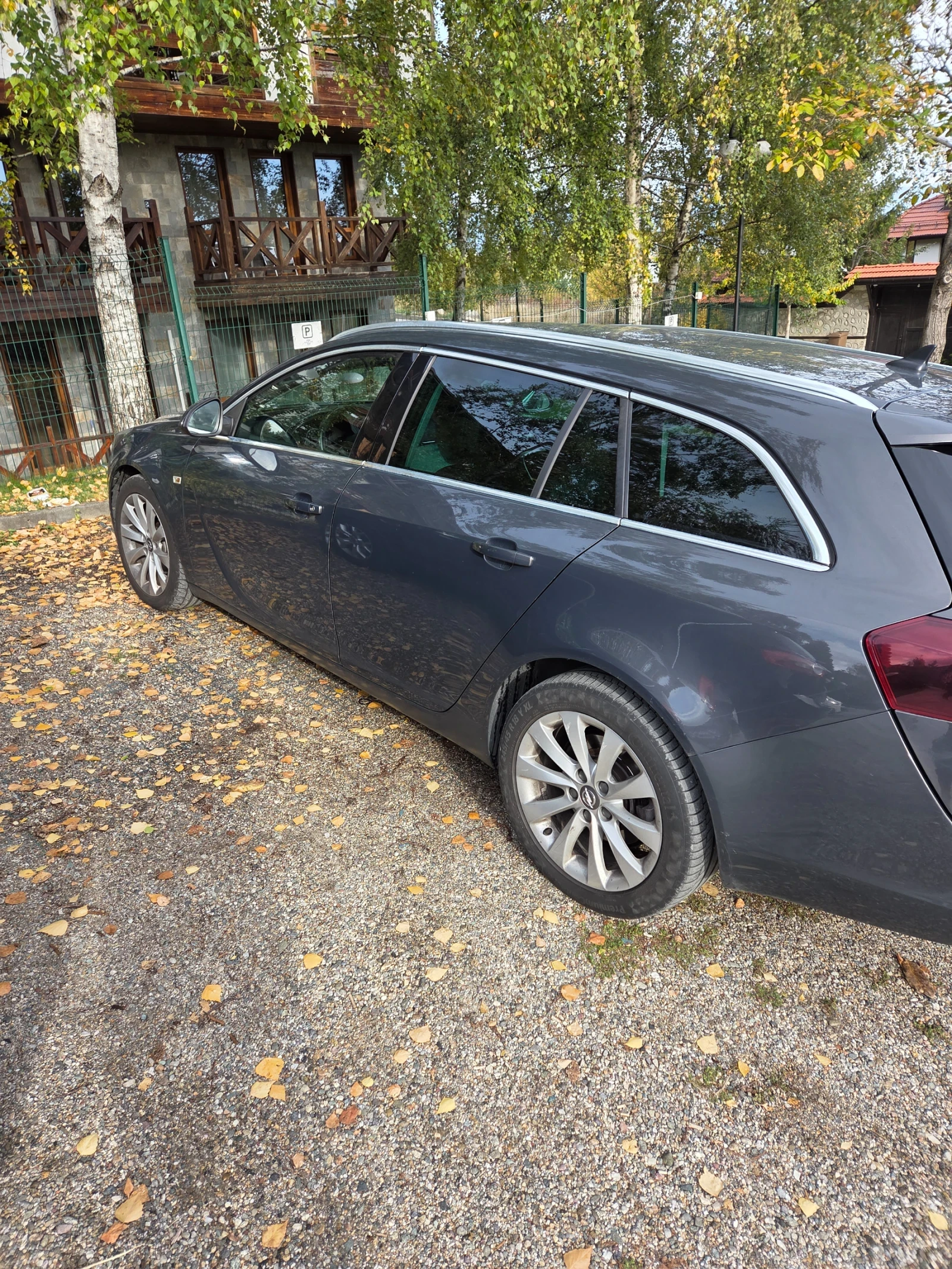 Opel Insignia, снимка 10 - Автомобили и джипове - 56531044