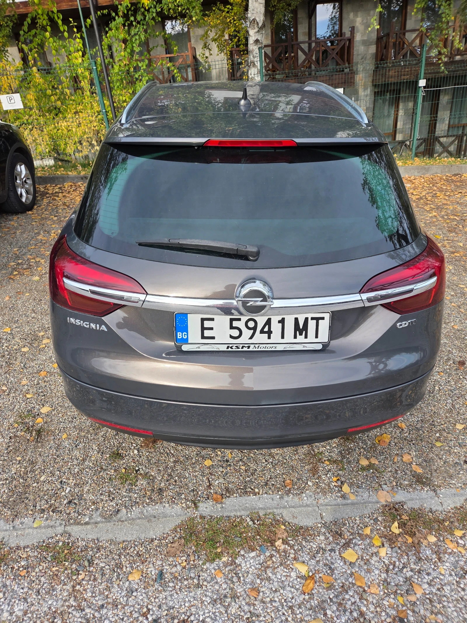 Opel Insignia, снимка 11 - Автомобили и джипове - 56531044
