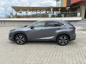 Lexus NX 300h F Sport Hybrid 4x4, снимка 3