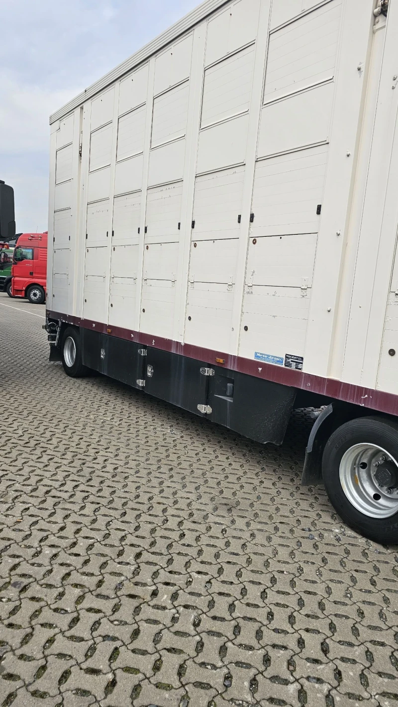 Man 26.463 26480, снимка 6 - Камиони - 52498305