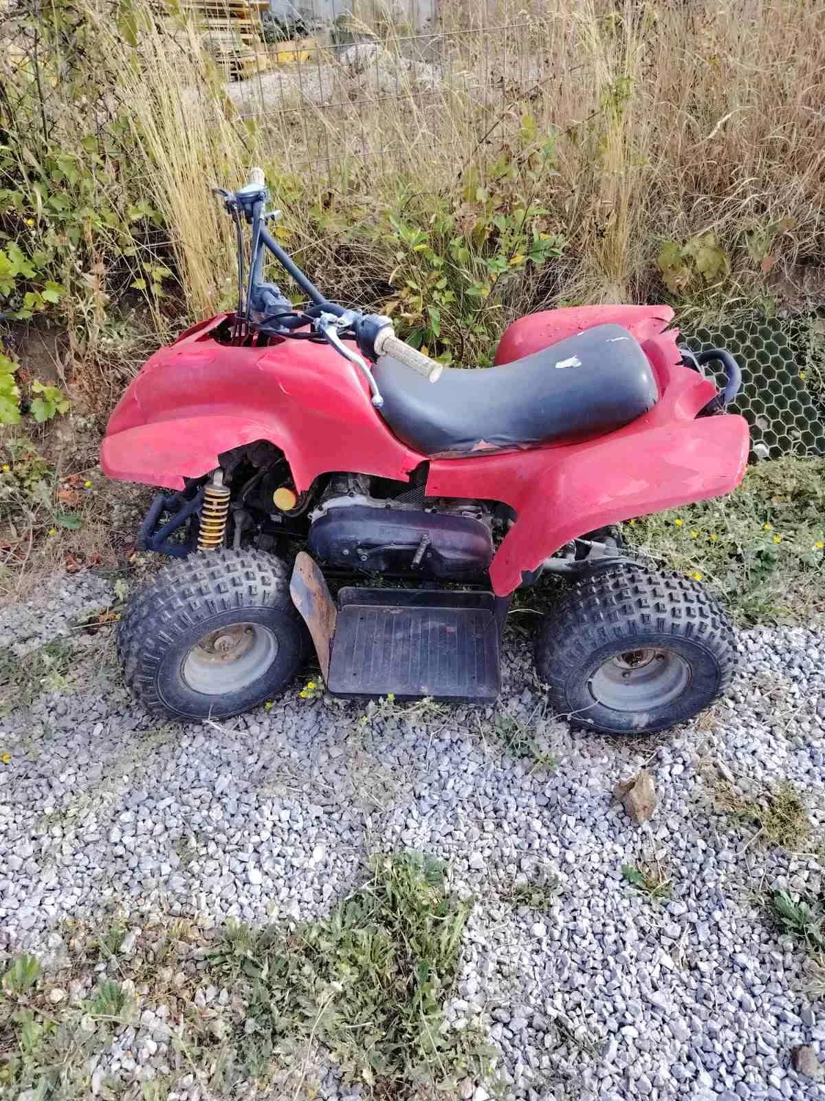 Aeon Cobra 110.СС