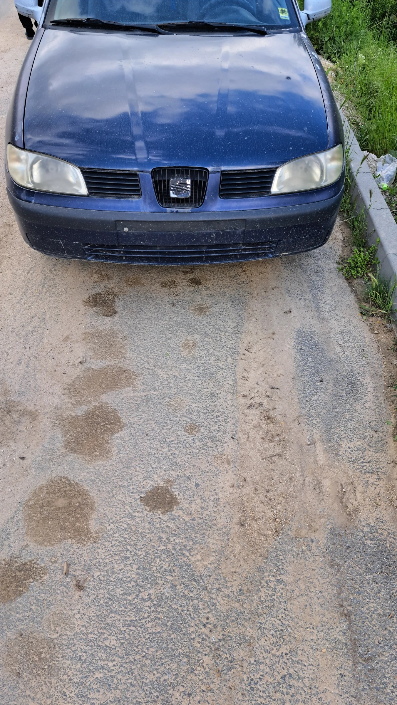 Seat Ibiza  - изображение 3