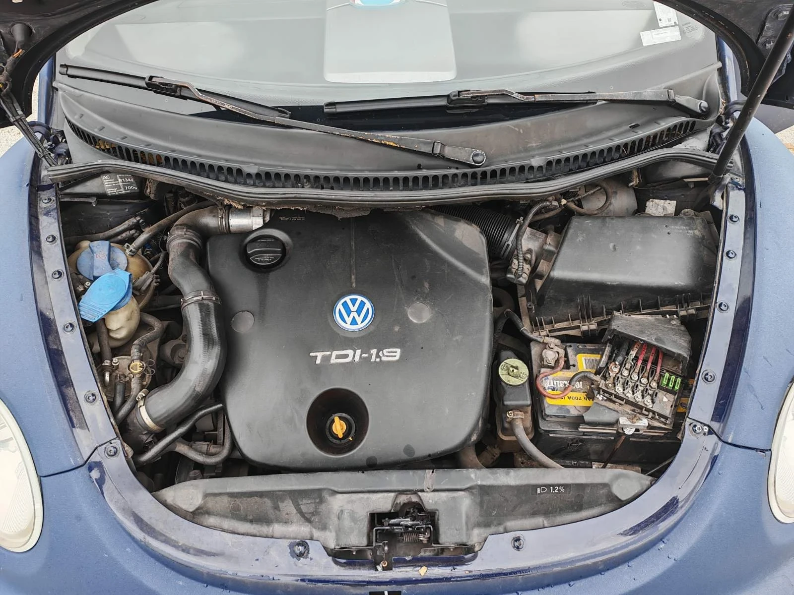 VW Beetle | Mobile.bg � ����������� 8