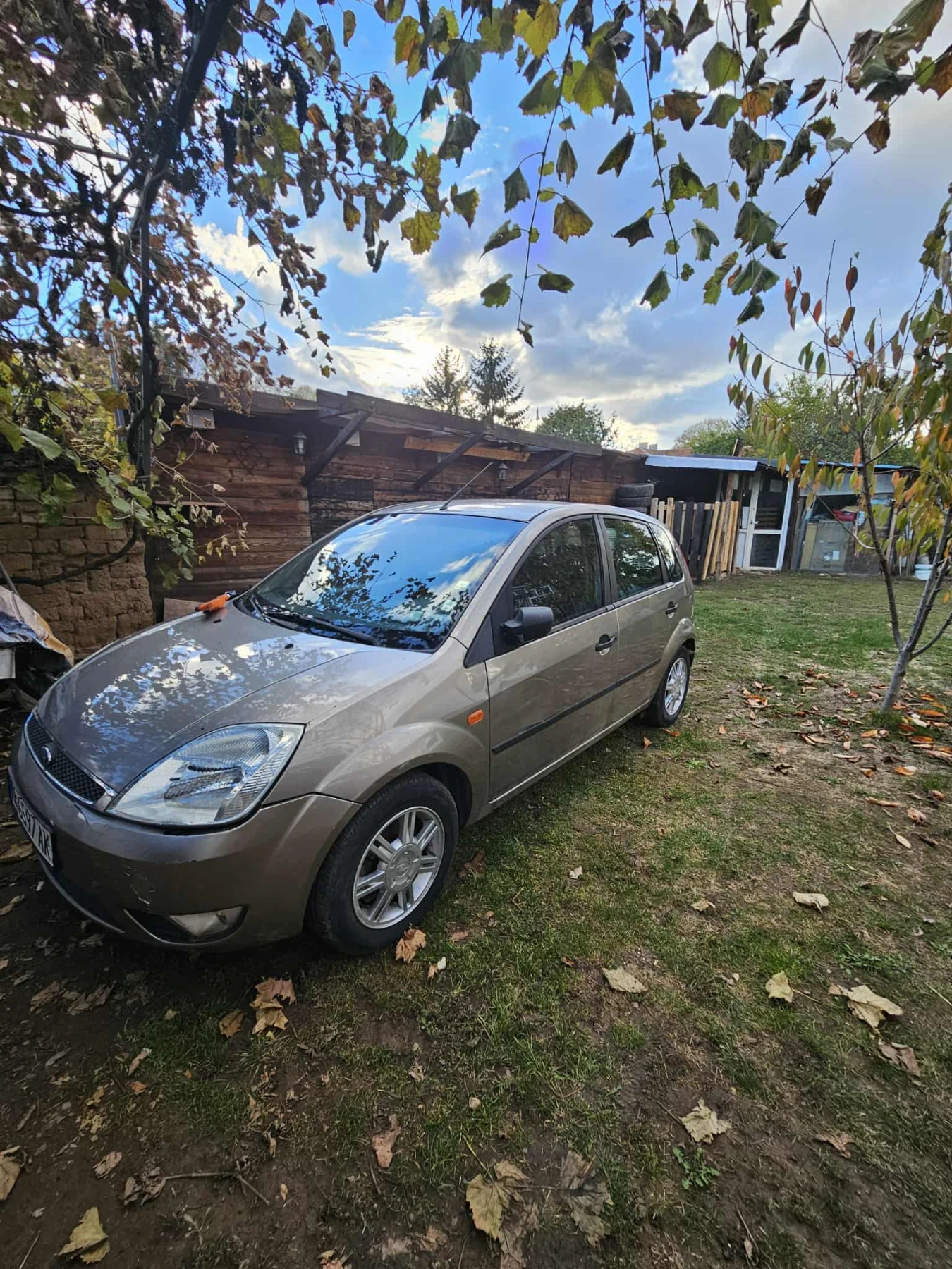 Ford Fiesta  - изображение 6