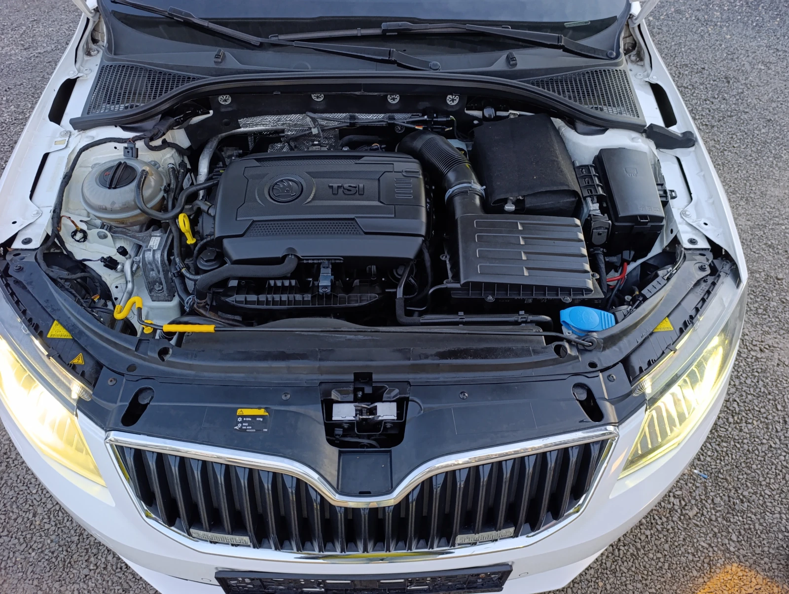 Skoda Octavia 1.8 TSI 4x4 DSG | Mobile.bg   14