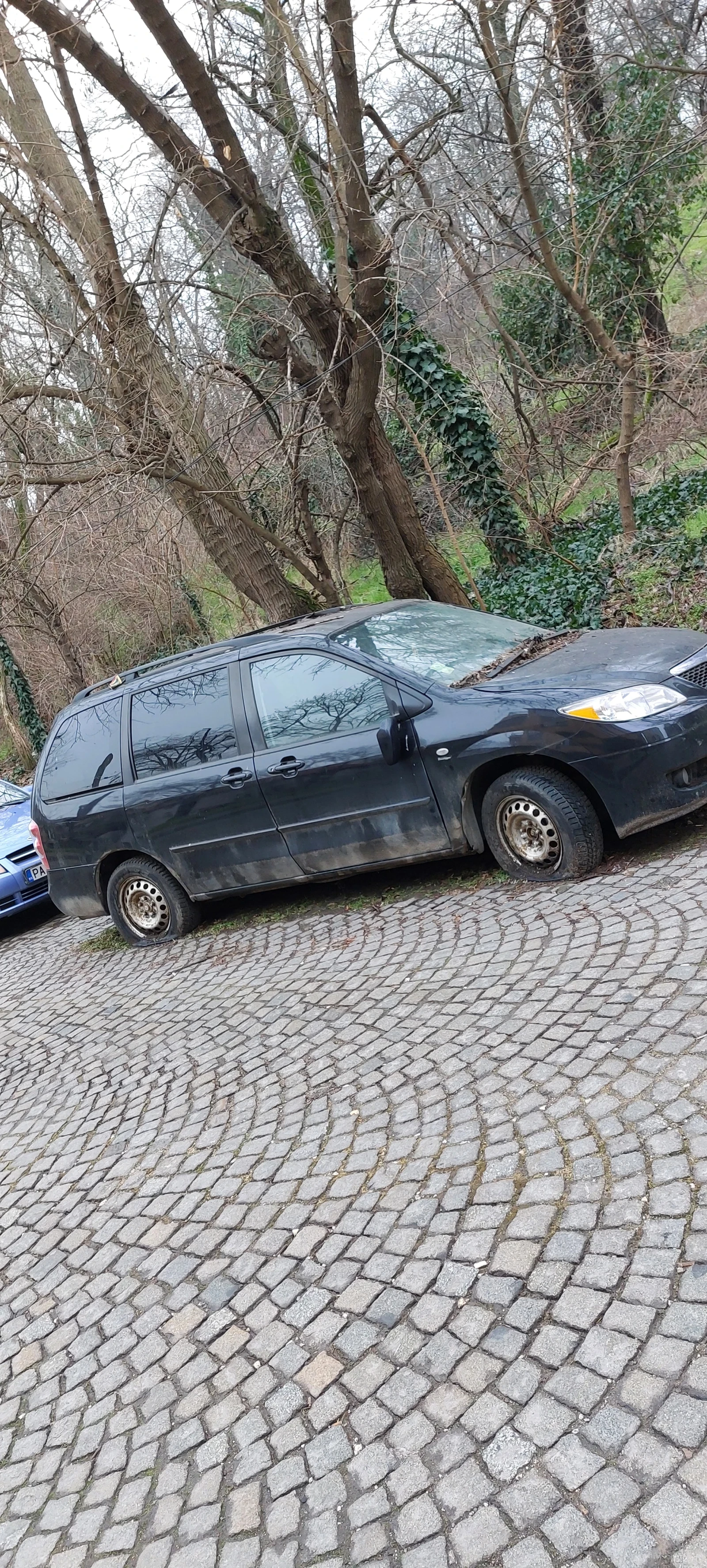 Mazda Mpv undefined | Auto.bg — изображение 1